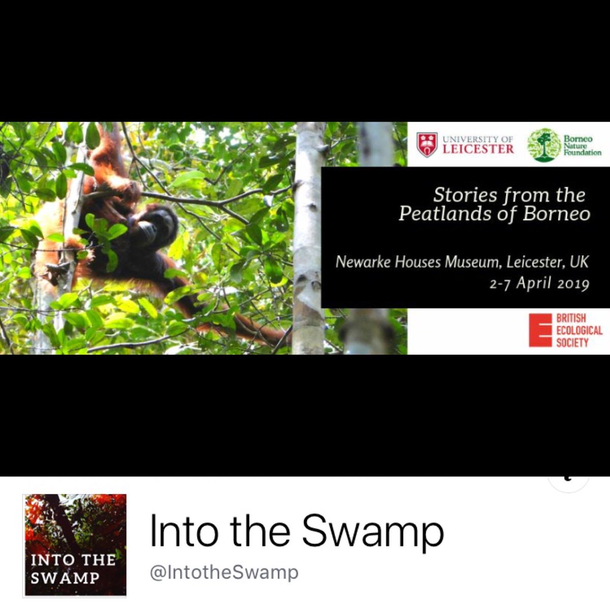 Like and share our new Facebook page to keep up to date with news and events related to the exhibition Into the Swamp coming to Leicester in April 2019! #leicester #leicesterevents #universityofleicester @BritishEcolSoc @BorneoNature @uniofleicester @LeicesterGeog @LeicesterUnion