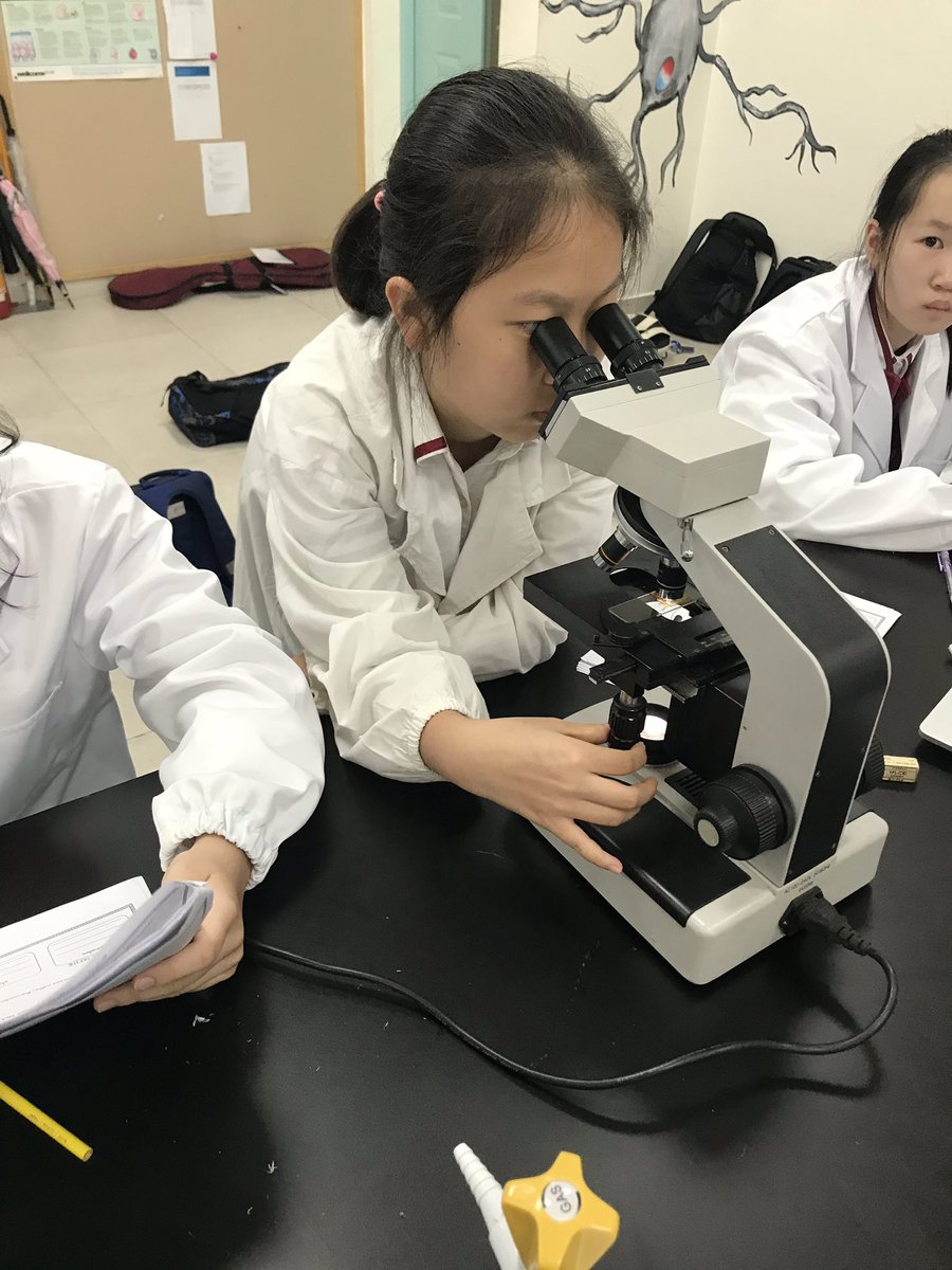 mrs_brogers's tweet photo. Inquiring into plants vs. animal cells. Grade 7 students carefully use stains to help them see structures in an onion cell today. #ISNScience https://t.co/TpX4Hb8pvP