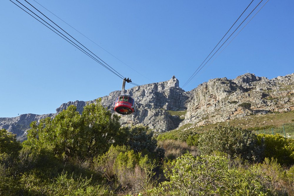 It's the perfect time of year for a bucket list trip up Table Mountain – here are some pointers for the <a href="/TableMountainCa/">Table Mountain C/Way</a> during peak season... bit.ly/2BhcUna