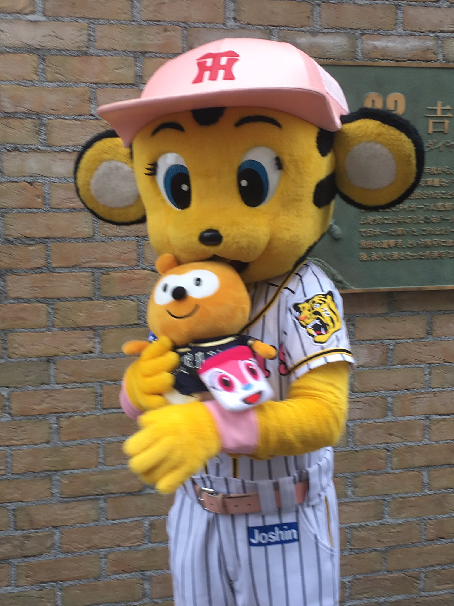 ラッキーちゃん Twitter Search Twitter