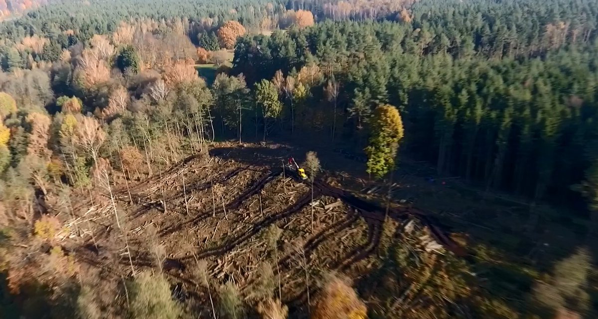 forwarder2020's tweet image. Picture puzzle: our @forwarder2020 prototype on the demo site in Lithuania near Punia! Really amazing!

#SustainableLogging #H2020 #Forestry