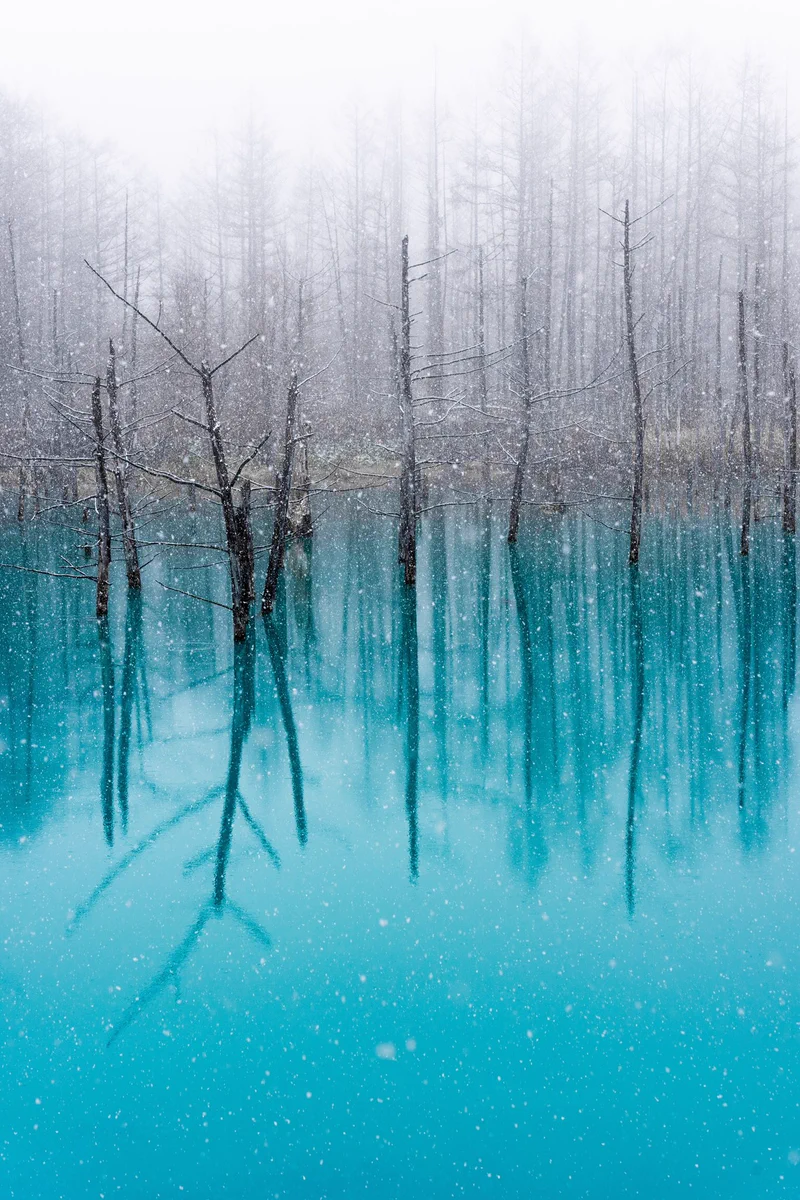 北海道の青い池！！雪とコラボしたらとんでもなく幻想的！！