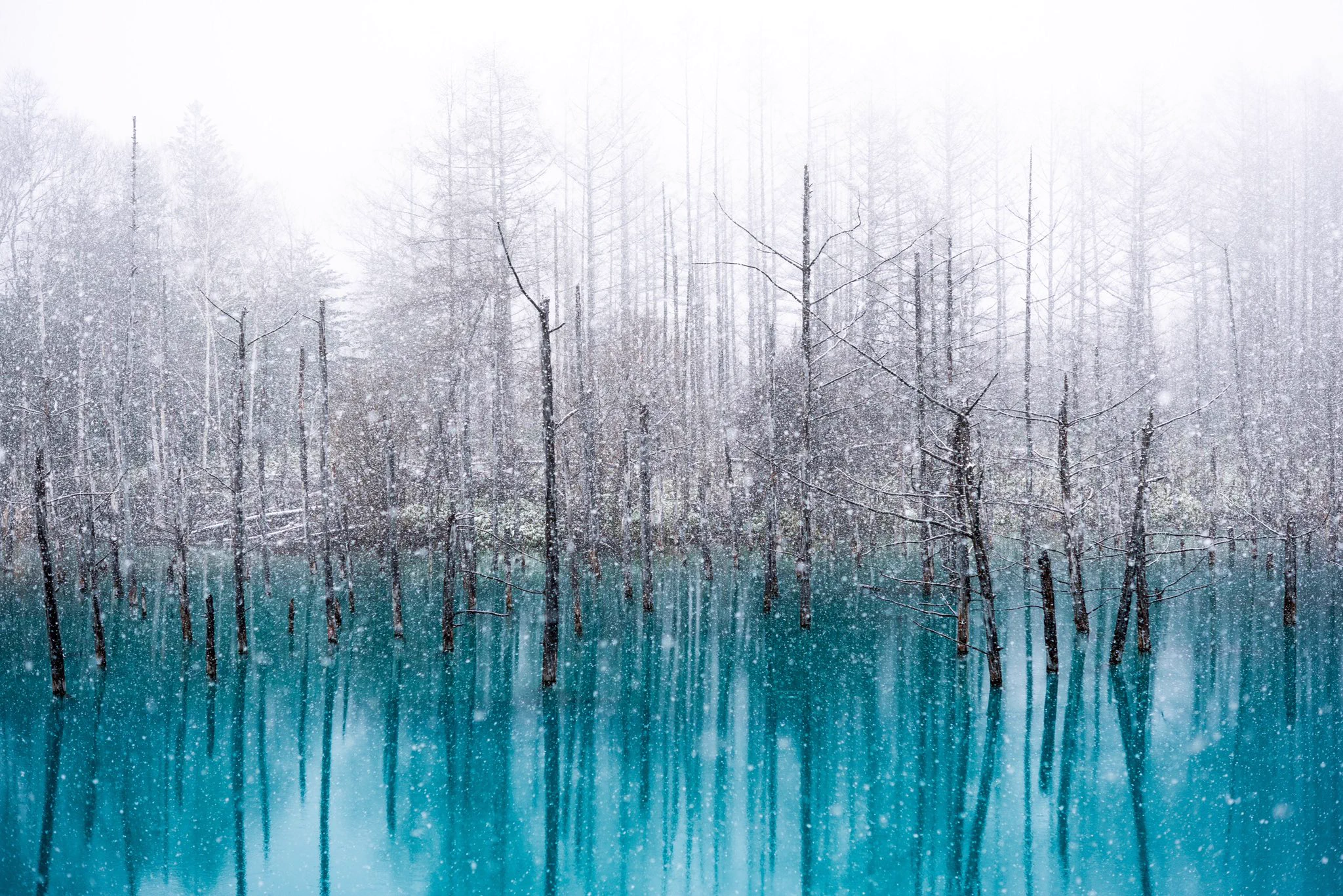 北海道の青い池！！雪とコラボしたらとんでもなく幻想的！！