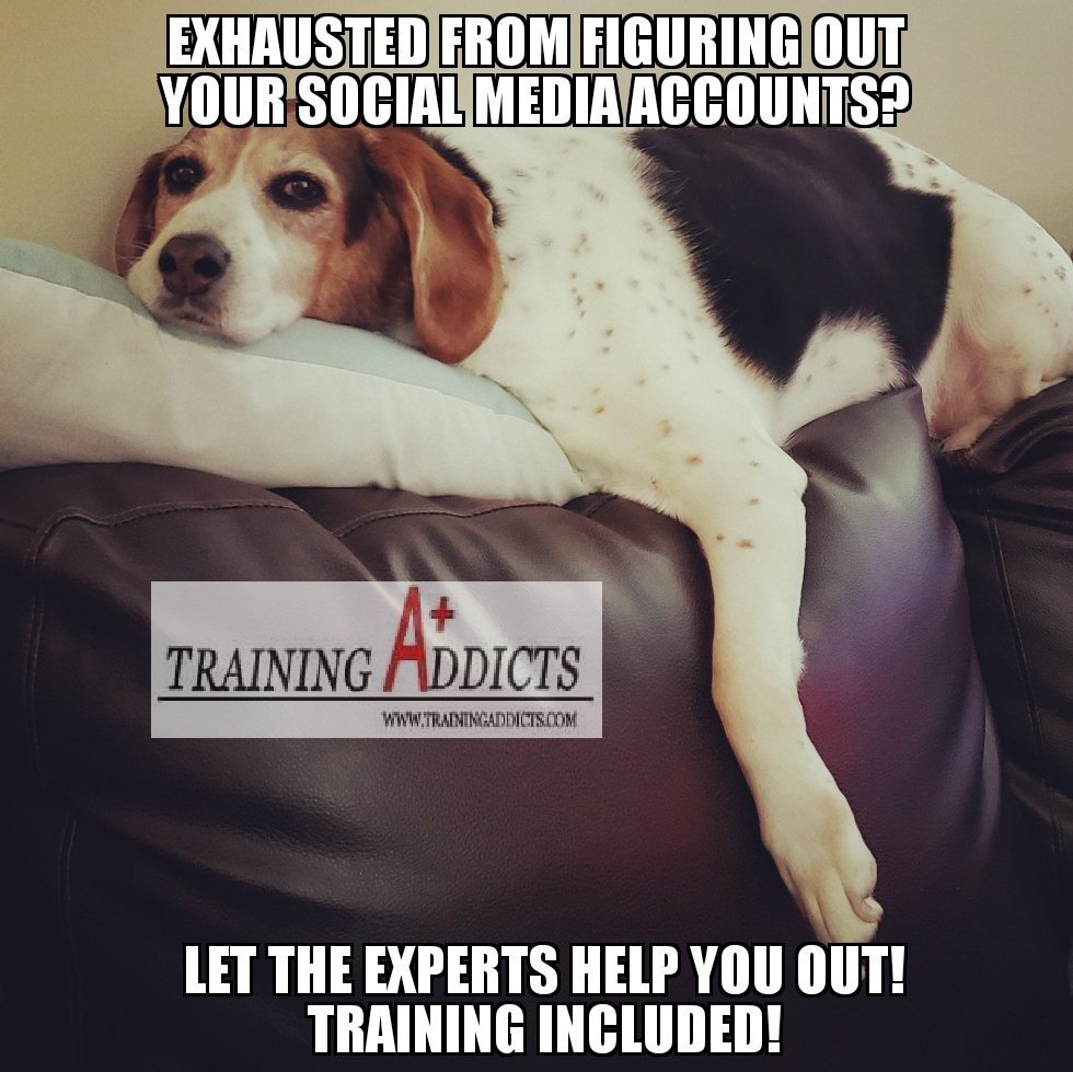 TrainingAddicts's tweet photo. Happy Monday!! 😁

#TrainingAddicts #SocialMedia #Training #socialmediamarketing #SMM #problem #solution #Facebook #Instagram #Twitter #Google #SnapChat #WhatsApp #Pinterest #YouTube https://t.co/73BK5n6drJ