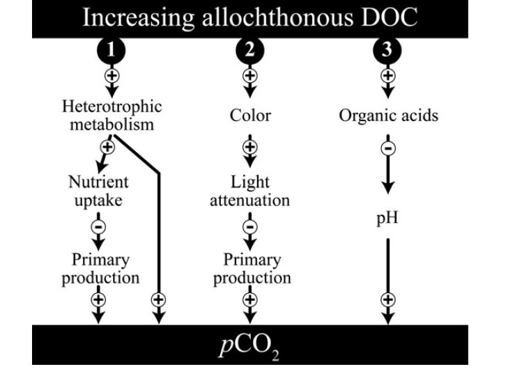 c_cascades's tweet photo. check out the new @c_cascades publication : "Colored organic matter increases #CO2 in meso‐eutrophic lake water through altered light climate and acidity": https://t.co/p5CG0kPYiE congrats Anna Nydahl! https://t.co/xxllUdgZ3E