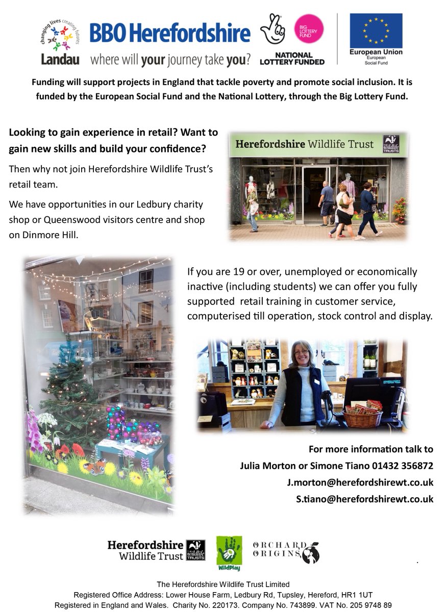 read Che cosa ha veramente detto San Paolo 1969