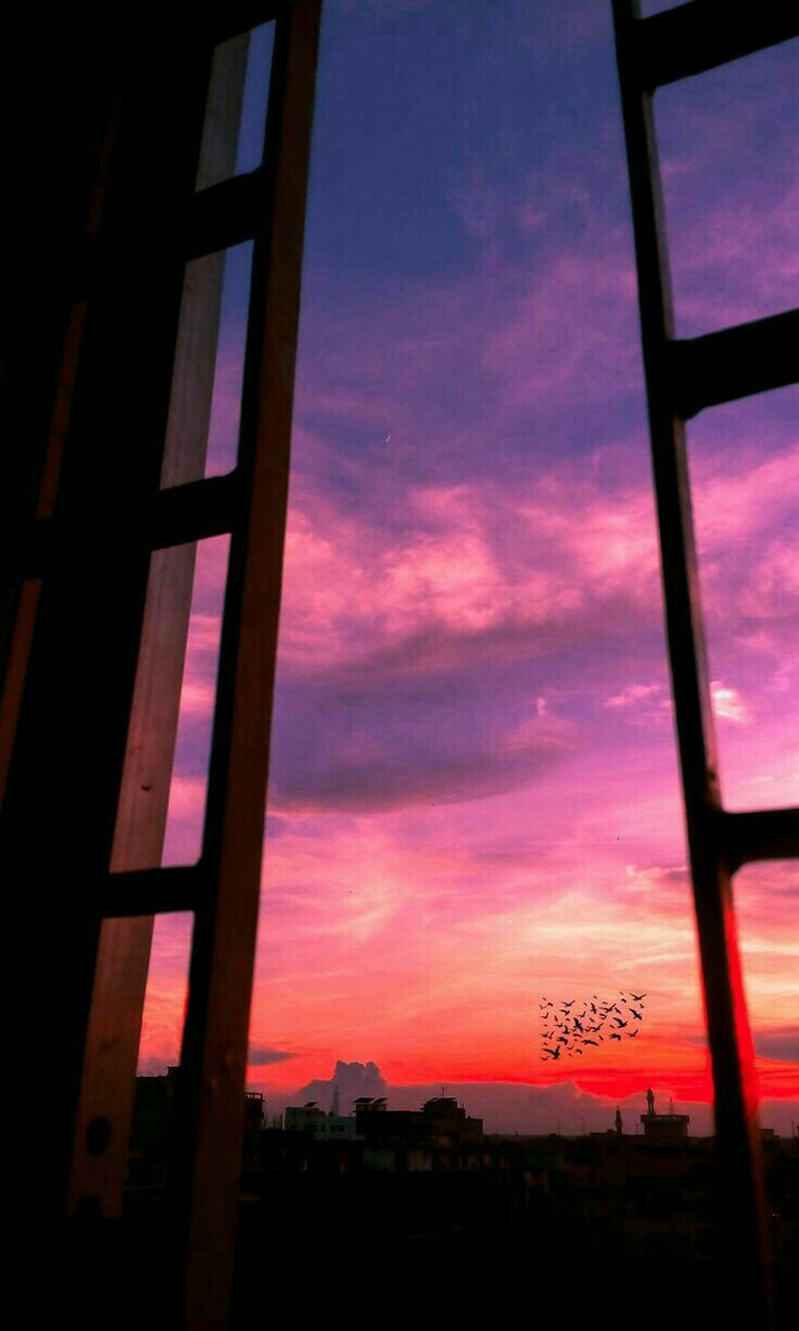 MyStory tweet media