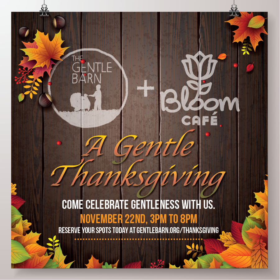 Bloom Café (@meetatthebloom) on Twitter photo We are thrilled to partner with <a href="/TheGentleBarn/">The Gentle Barn</a> Missouri for A Gentle Thanksgiving. Chef Jeremy Robinson and Bloom Café are providing most of the food for the event. Come celebrate gentleness this Thursday from 3–8 p.m. Reserve your spot at bit.ly/2KhWHRm. We are thrilled to partner with <a href="/TheGentleBarn/">The Gentle Barn</a> Missouri for A Gentle Thanksgiving. Chef Jeremy Robinson and Bloom Café are providing most of the food for the event. Come celebrate gentleness this Thursday from 3–8 p.m. Reserve your spot at bit.ly/2KhWHRm.