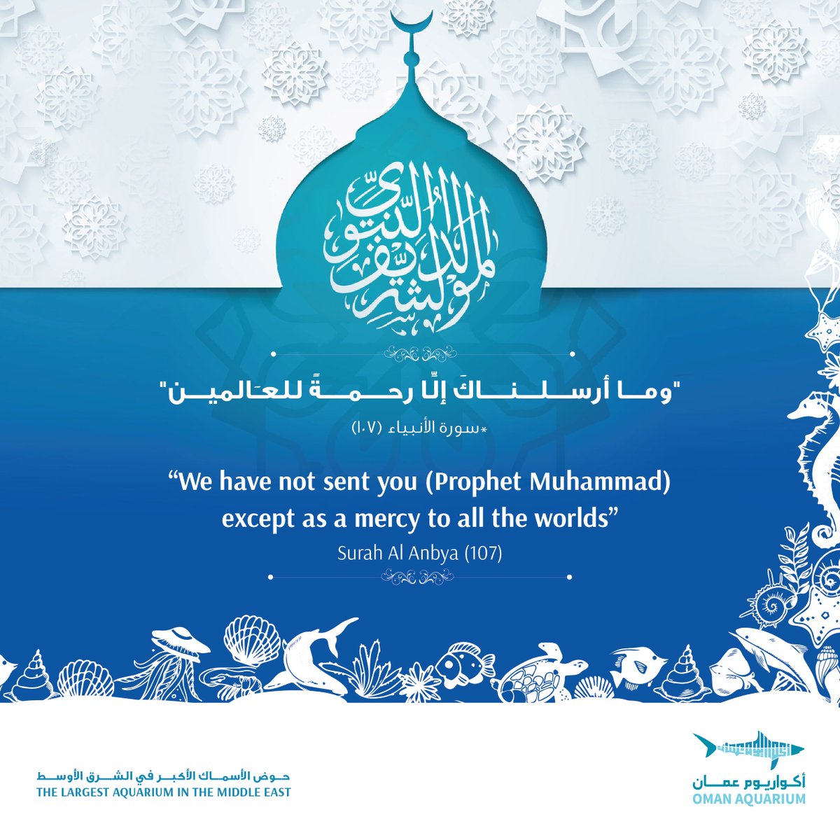 Oman Aquarium أكواريوم عمان (@omanaquarium) on Twitter photo 