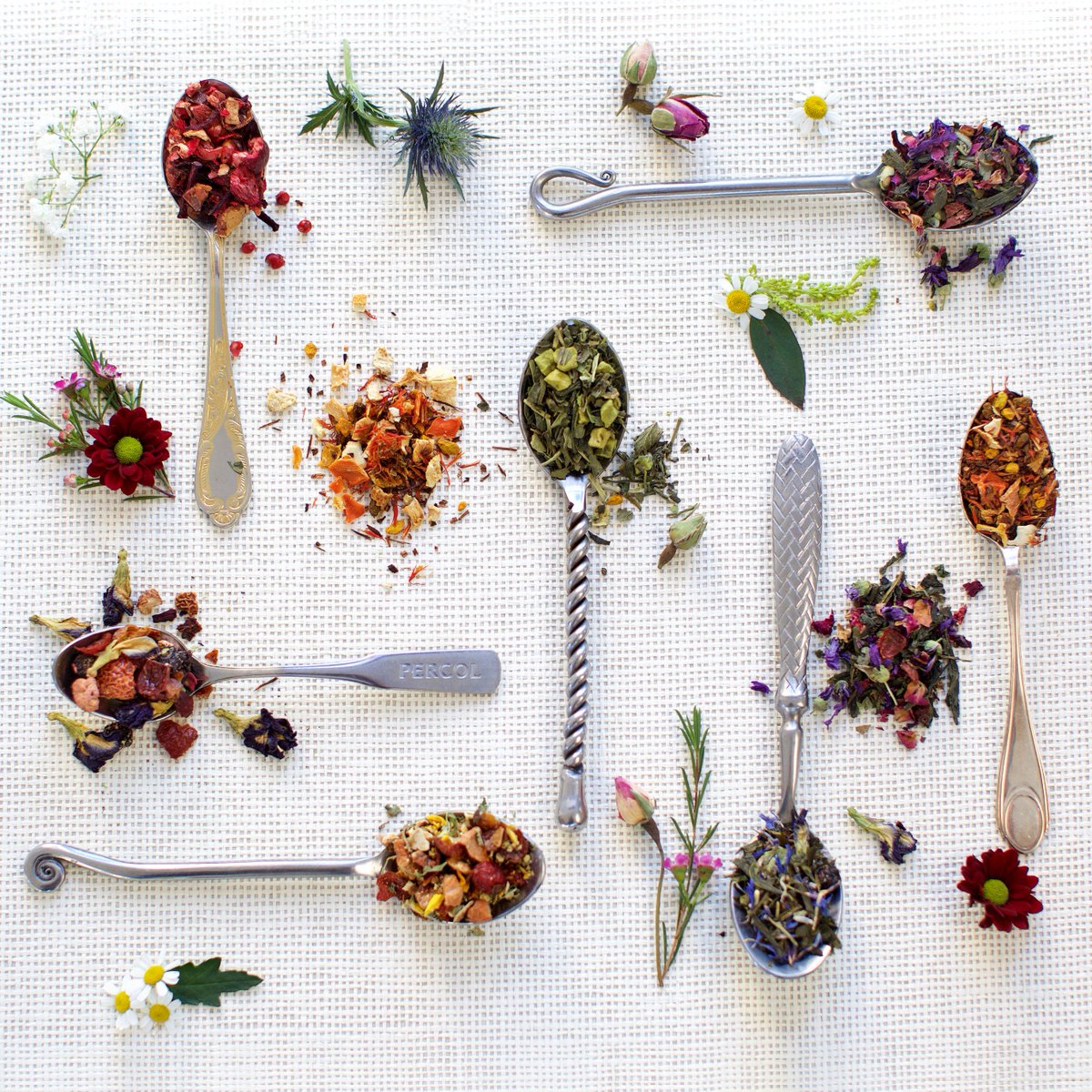 RadugaTeas's tweet photo. 'The secret ingredient is one heaping teaspoon of love'
#radugateas #rainbow #love #teaislove #teaislife https://t.co/XcIpX8nmet