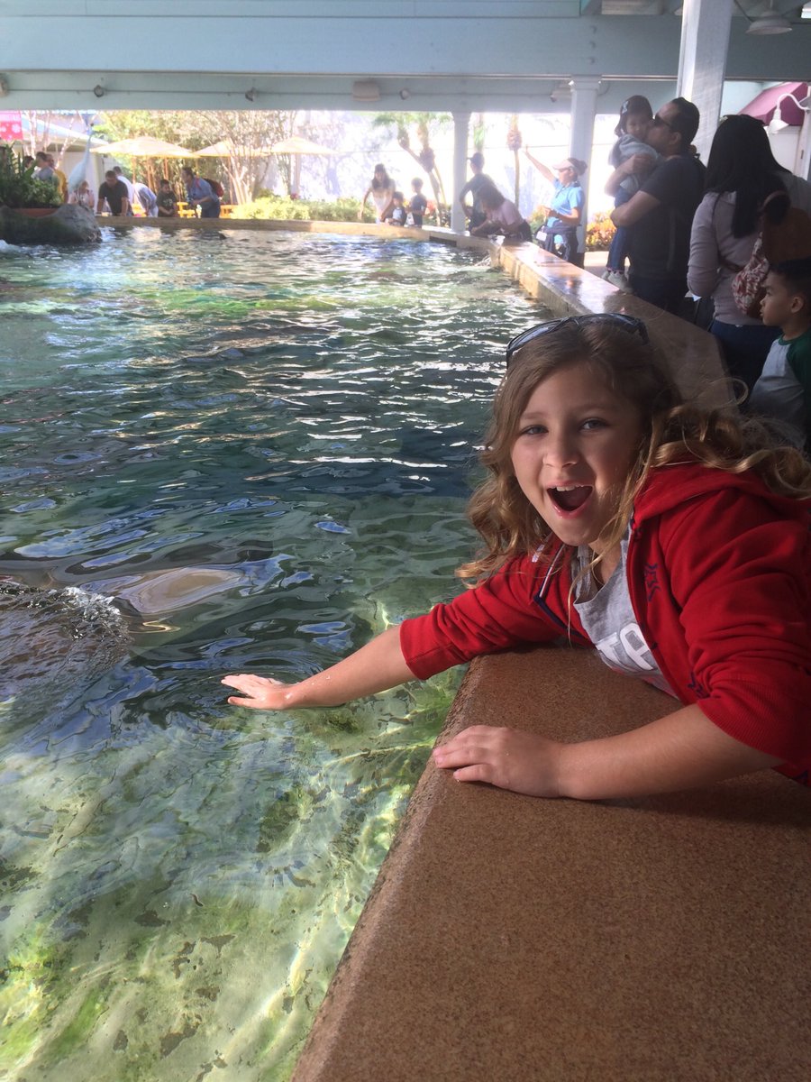SenecalMolly's tweet photo. Pure happiness @SeaWorld https://t.co/FY4PNGJWjh