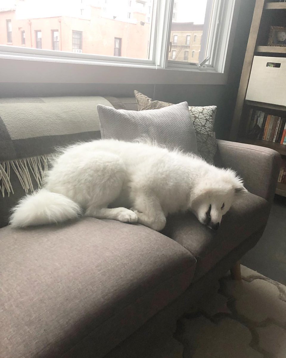 FreeUpAgent's tweet image. 😍💟😴