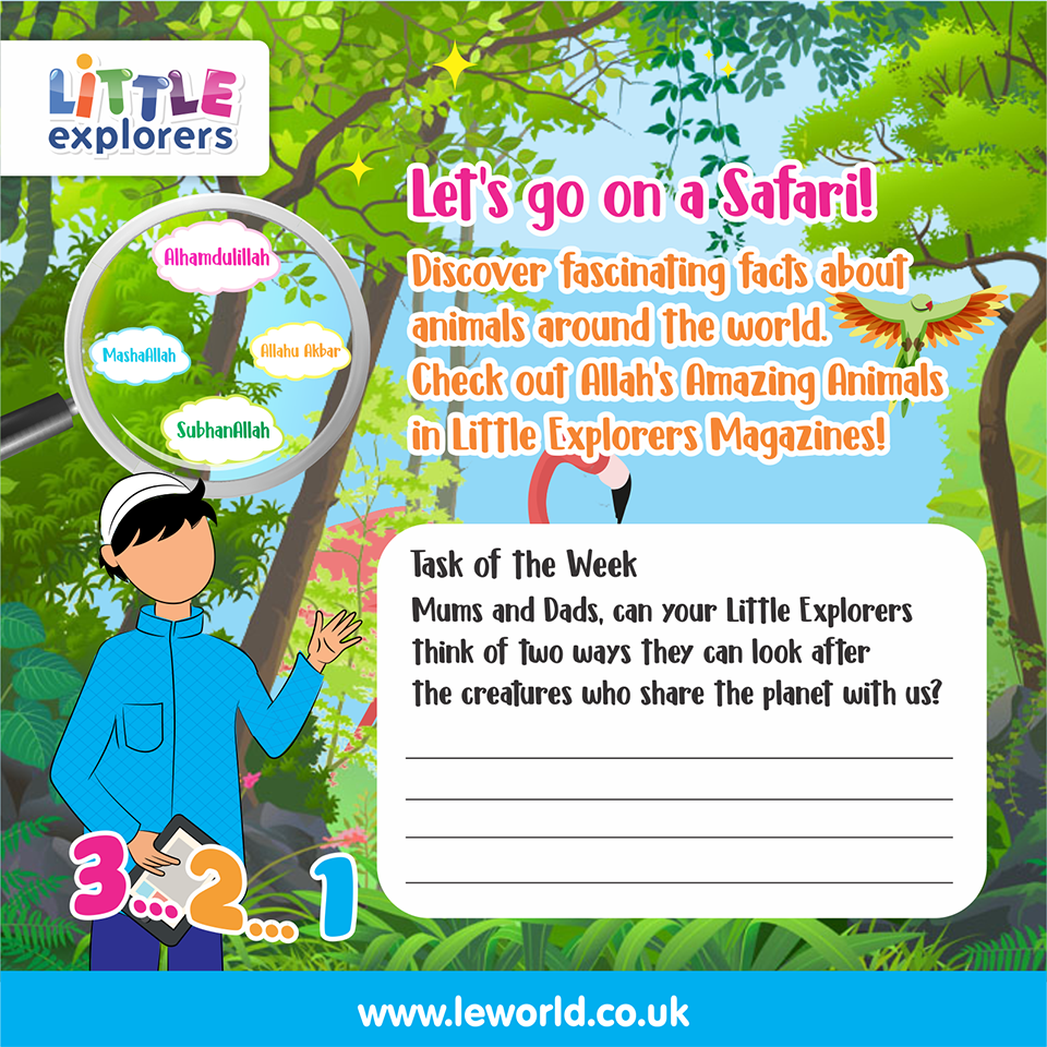 LittleExpMag tweet picture
