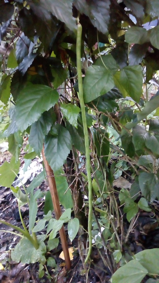 ™!!💞👫💞!! tweet media