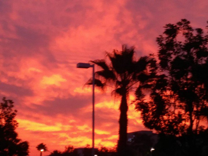 kennalgriffin's tweet image. Good Morning + Happy Monday evry1 😚 #pinksunrise