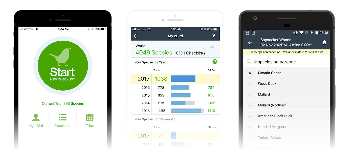Team_eBird's tweet photo. #eBirdMobile tops Popular Science's list of best science apps!
https://t.co/gACOceD6N6
#eBird https://t.co/5bOB9aFLkg