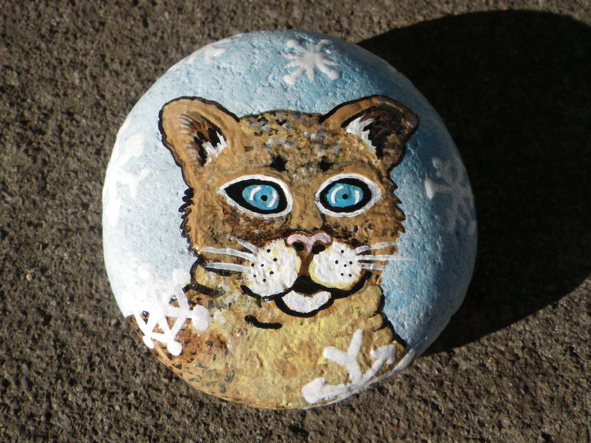 #Cougar #CougarCub #babywildlife #wildlife #handmade #rockart #ShopSmall #SmallBiz #CassieVision etsy.com/listing/660283…