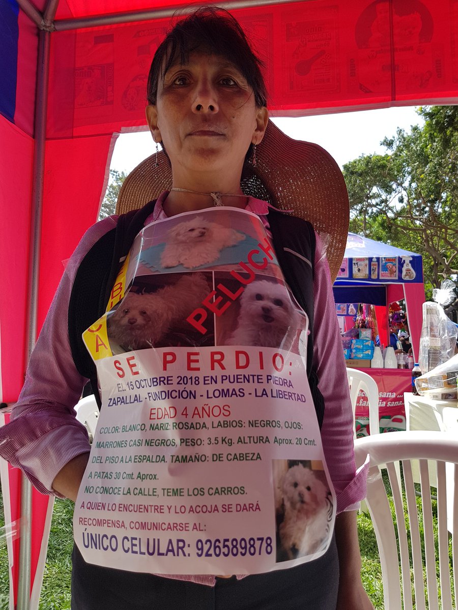 OmarChaucaA's tweet photo. Ayer en la #pataton está señora me rompió el corazón. Lleva buscando a su hijo PELUCHE ! Por favor ayuden a encontrarla. Es escritora, no tenía plata para donar pero obsequio unos libros que ella misma escribió
@vanessasaba75 @malditaternura https://t.co/2PxKUFfvKF