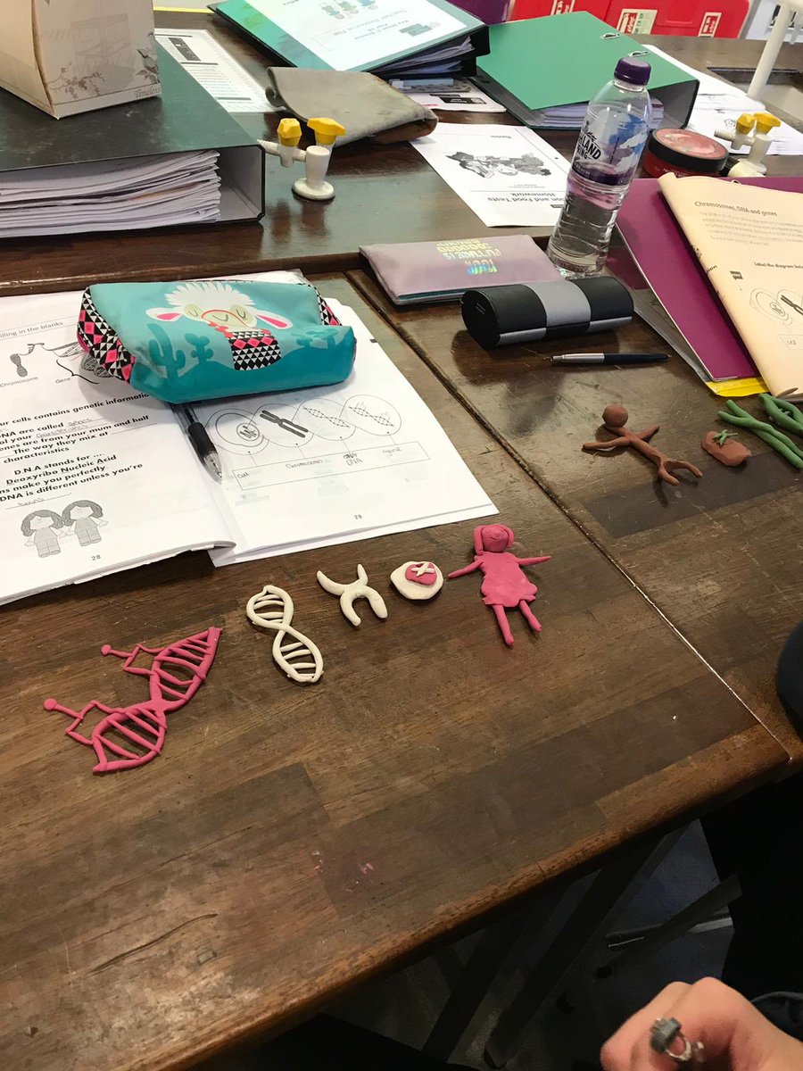 NewryHigh_Sci's tweet photo. Year 10 Students are learning about genetics and variation.  Building cells, chromosomes, DNA and genes. https://t.co/8rkrgZcyBE