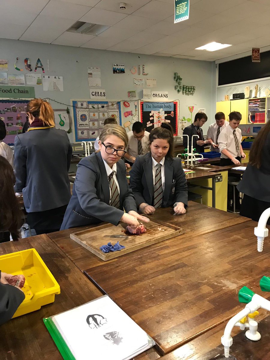 NewryHigh_Sci's tweet photo. Year 12 Biology students dissecting hearts ♥️ https://t.co/q6p9hPzU5j