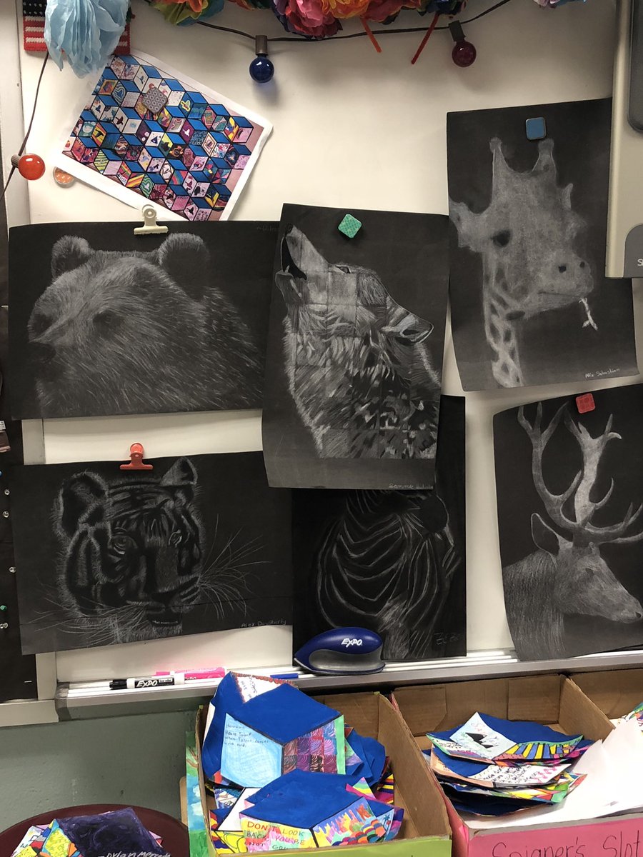 LopatMS's tweet photo. Seventh grade animal grid drawings! https://t.co/8p4vJU4KZW