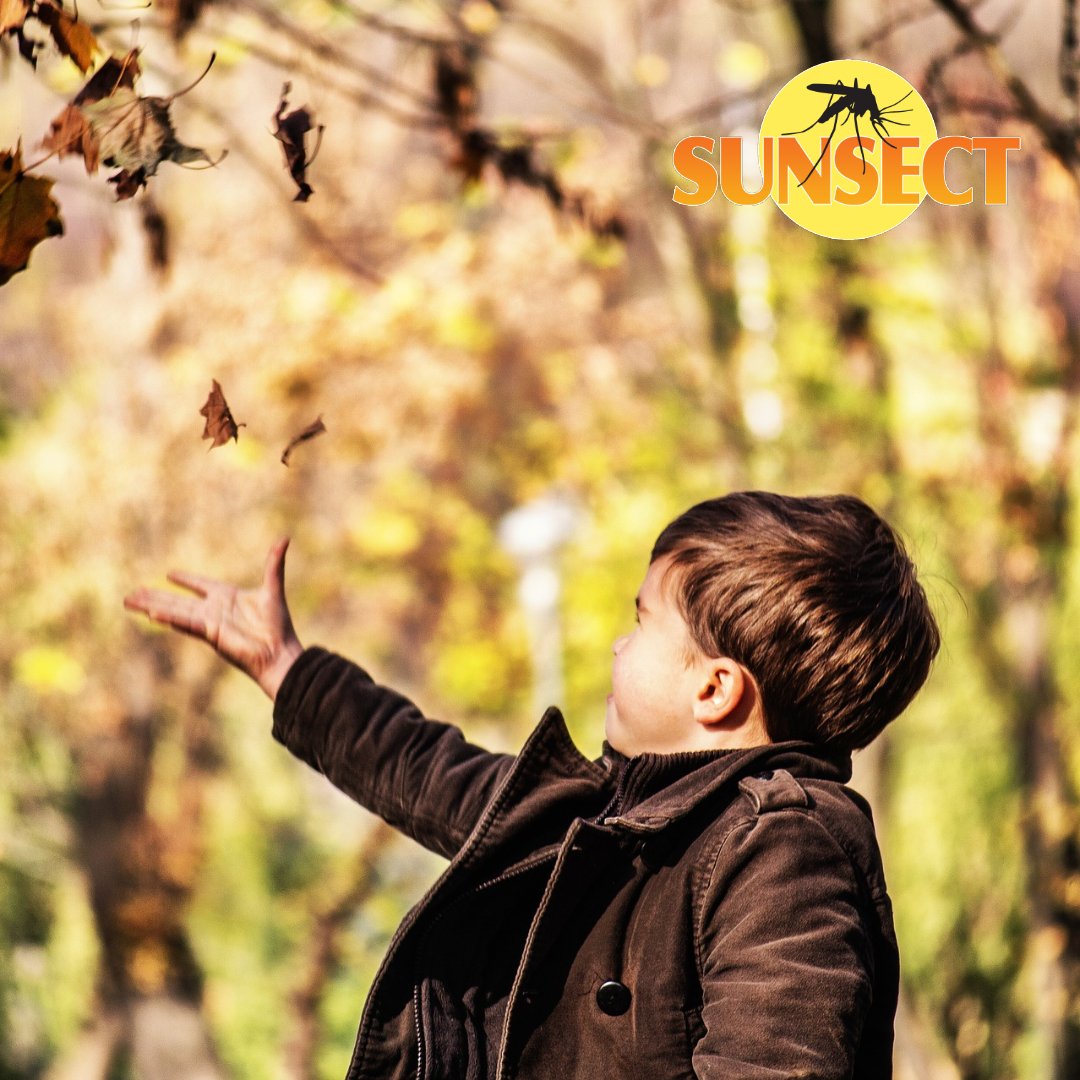 Sunsect15's tweet photo. Sunsect Insect Repellent + Sunscreen is safe for children.  #Sunsect #InsectRepellent #Sunscreen #Deet   https://t.co/pgedzGPIi8 https://t.co/JAFRaOmx95