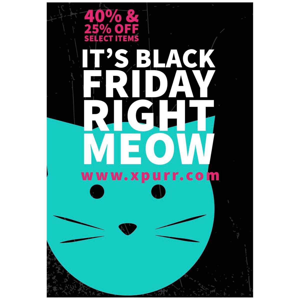 XPurrPole's tweet photo. Purrfect Gifts for Polers and Kittens on Sale - https://t.co/jG3Mntqhra Our Black Friday sale is underway right meow but quantities are limited and selling fast! https://t.co/SoFHHcptyd