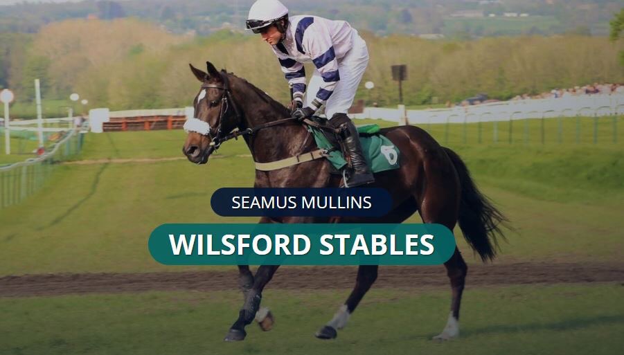 Amateur Jockey/Work Rider/Groom opportunity! 🏇😀. 
Join <a href="/SeamusMullins1/">Seamus Mullins</a> &amp; his team, Wiltshire.

For more information please visit: ow.ly/ekoU30mnT1P