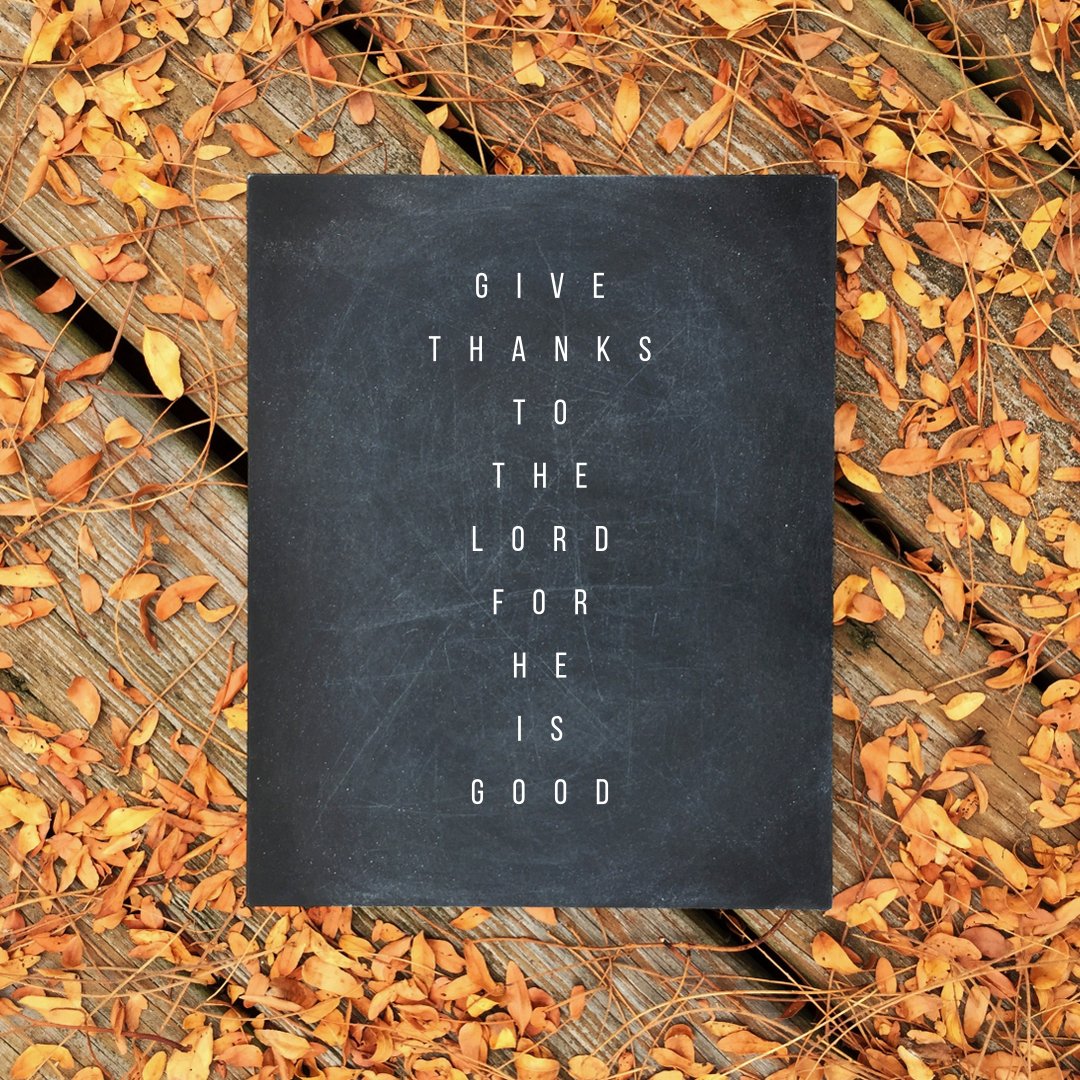 ConnectServeGo's tweet photo. Jesus is a firm foundation to build our lives.
Jesus is life and He is good, give thanks! https://t.co/PmgWfvD11G