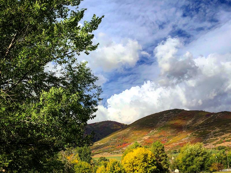 VJenJen's tweet image. My friend Annie is a finalist in Homestead Resort's Photo Contest - help rally votes: flip.to//r/N5-9x8 @HomesteadResort