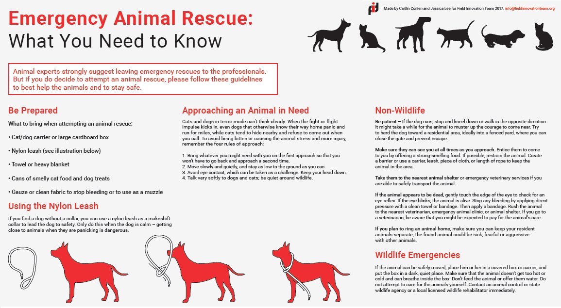 FieldInnovationTeam (@fitreadytogo) on Twitter photo #AnimalRescue is challenging during #disasters. <a href="/FITReadyToGo/">FieldInnovationTeam</a> created this after #HurricaneHarvey last year. Thoughts are with all those in #CaliforniaFires dealing with these challenges. Any tips you can share with those on the ground? #Recovery #EMGTwitter #AnimalRescue is challenging during #disasters. <a href="/FITReadyToGo/">FieldInnovationTeam</a> created this after #HurricaneHarvey last year. Thoughts are with all those in #CaliforniaFires dealing with these challenges. Any tips you can share with those on the ground? #Recovery #EMGTwitter