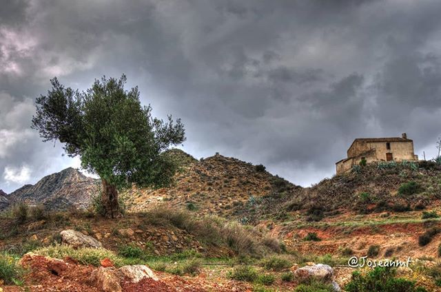 joseanmt's tweet photo. #PatrimonioHistorico
#limaria #LosHiguerales#arboleas
Mina romana Los Espejuelos
El olivo y el Cortijo
#LapisEspecularis https://t.co/eZ5T0SmRxc https://t.co/fGmDX2sOSO