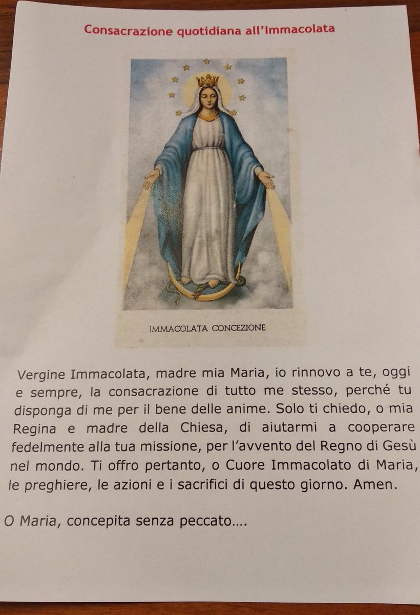 stefania caporrelli tweet media