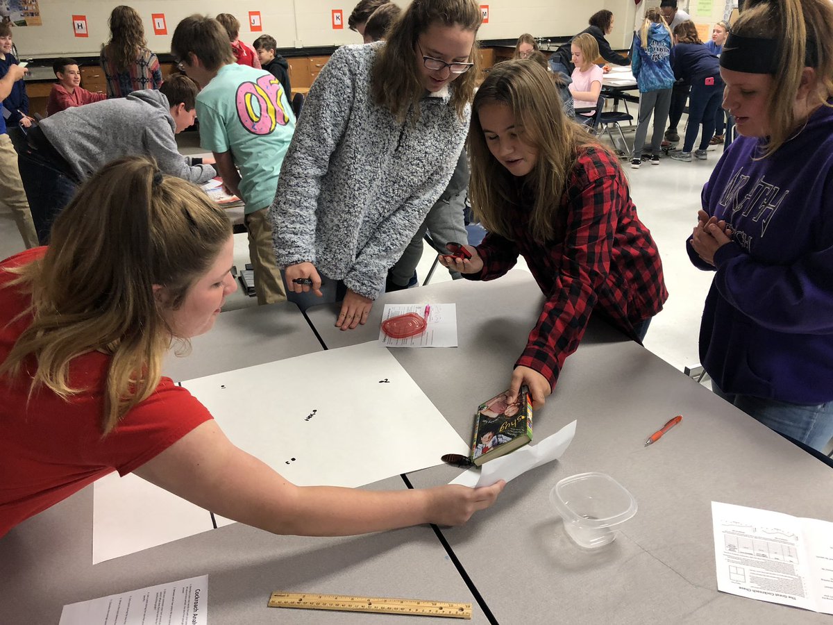 nkucinsam's tweet photo. Seeing excitement for learning about speed with Madagascar hissing cockroaches with @ellabowling makes this project all worthwhile! #nextgenerationstemclassroom #handsonlearning #engagedlearners https://t.co/5ZjLOr3Ir0