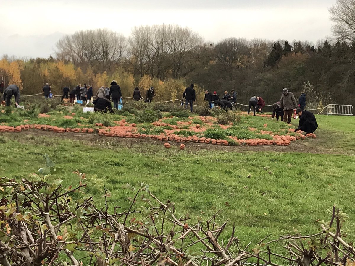 leawinkeler's tweet photo. Saying goodbye to the marvellous art project #CWXRM with 600,000 sculptures representing all #WW1 dead in Belgium. People take some home - It may look a bit greedy but it also means they adopt the victims and will remember beyond the #Centenary #FlandersFields https://t.co/roTo5oc5wn