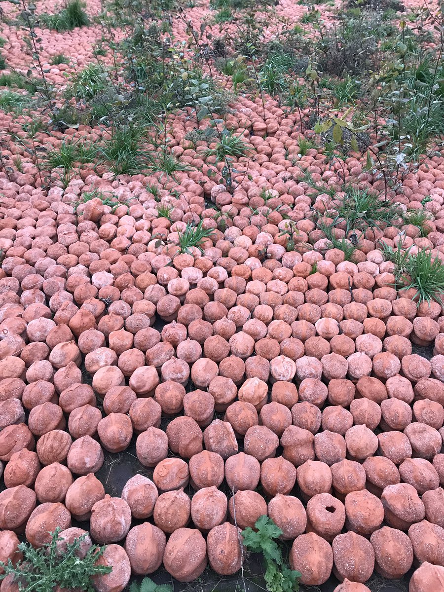 leawinkeler's tweet photo. Saying goodbye to the marvellous art project #CWXRM with 600,000 sculptures representing all #WW1 dead in Belgium. People take some home - It may look a bit greedy but it also means they adopt the victims and will remember beyond the #Centenary #FlandersFields https://t.co/roTo5oc5wn