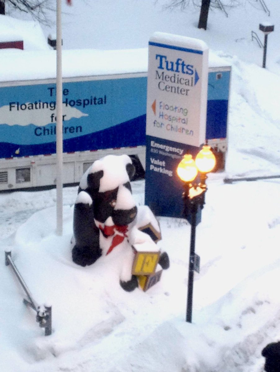 TuftsMedicalCtr's tweet photo. Really, @BostonMagazine, I'm only #6??!?!?! I'd like to see the Teddie Peanut Butter Bear survive a New England blizzard! Love, Skipper the Bear https://t.co/6rIkrwZzPt #underranked #norespect https://t.co/EAYf9E7zqm