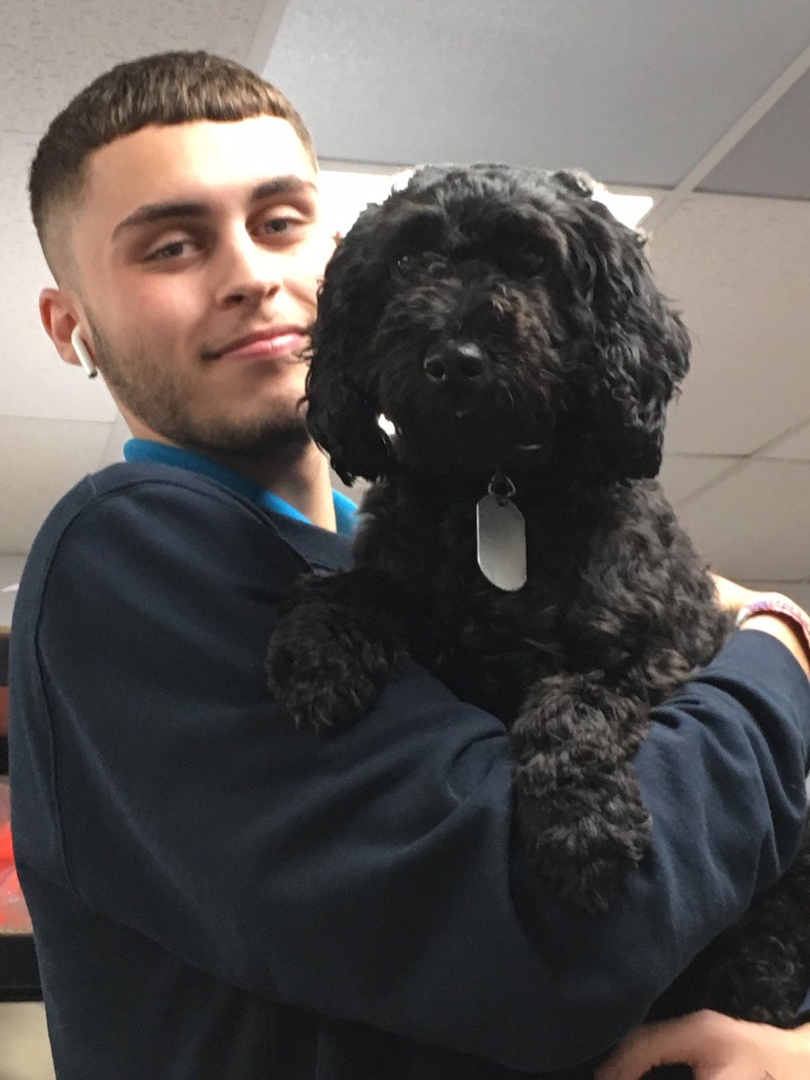 SigmaEmbroidery's tweet photo. Charlie the Sigma Dog has been making sure everyone is having a happy Monday! #PrintShopPuppy #TouchingScenes https://t.co/pmqWhUzx8K