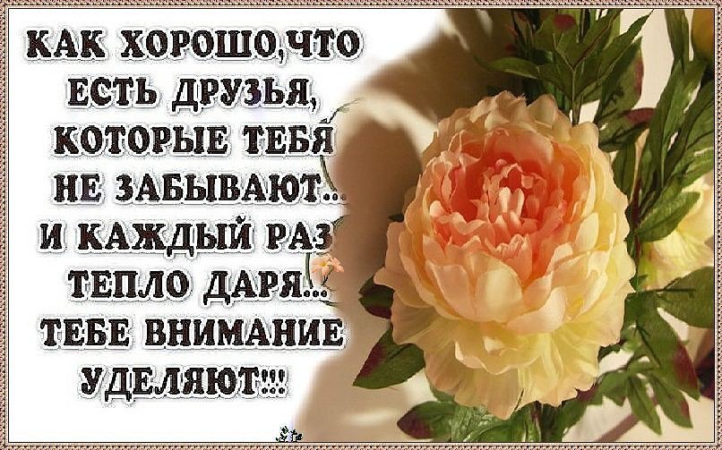 Пасхой, открытки спасибо за то что меня не забываешь