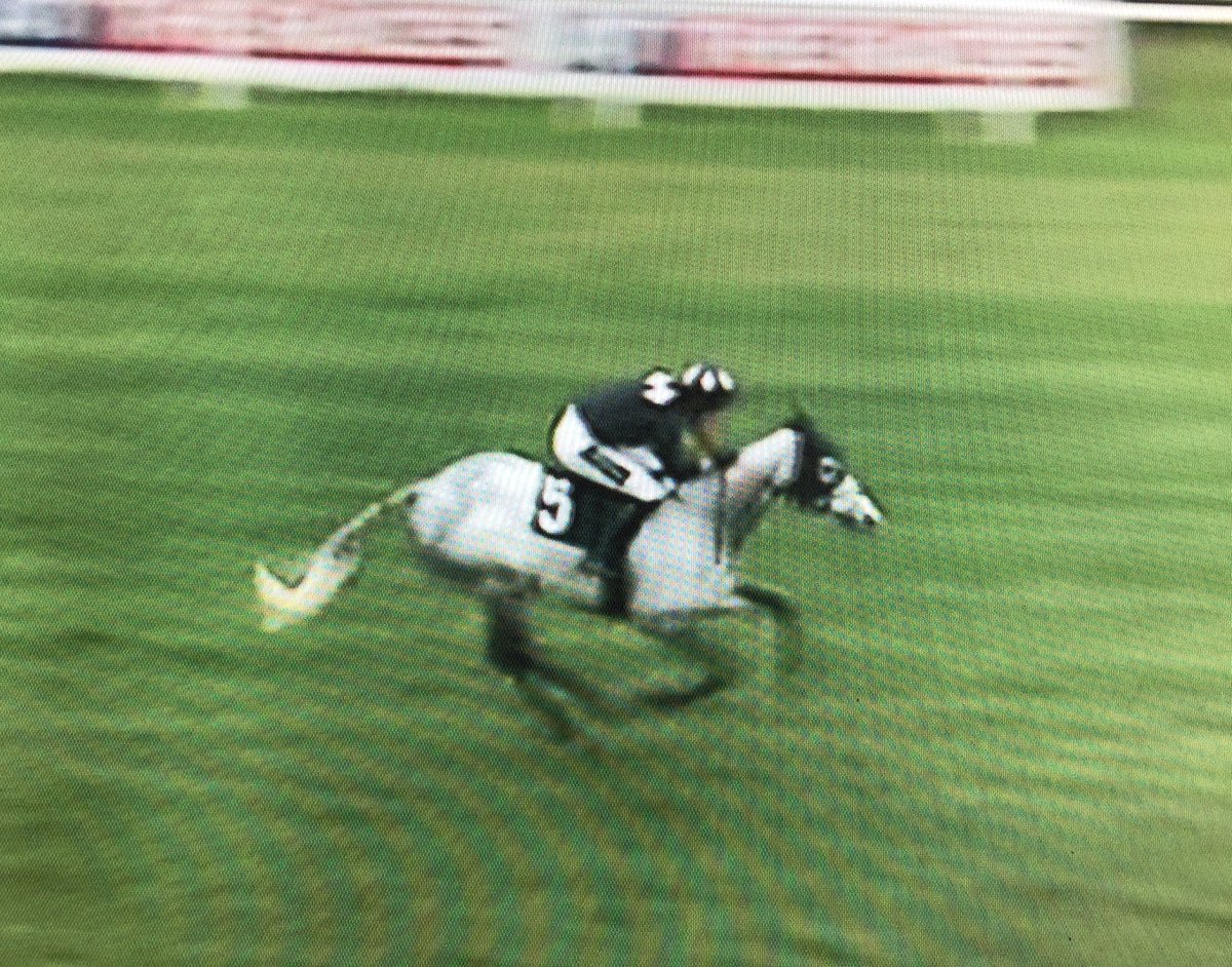 amajox's tweet photo. Congrats 17 yo @amajox @lucamorgan99 enjoys 2nd career #win @plumptonraces #PompadourHurdle #WinterSpice @johnnyfarrelly #5ran #topride #topjockπππππ@gbponyracing https://t.co/Cq3D6ifcTt