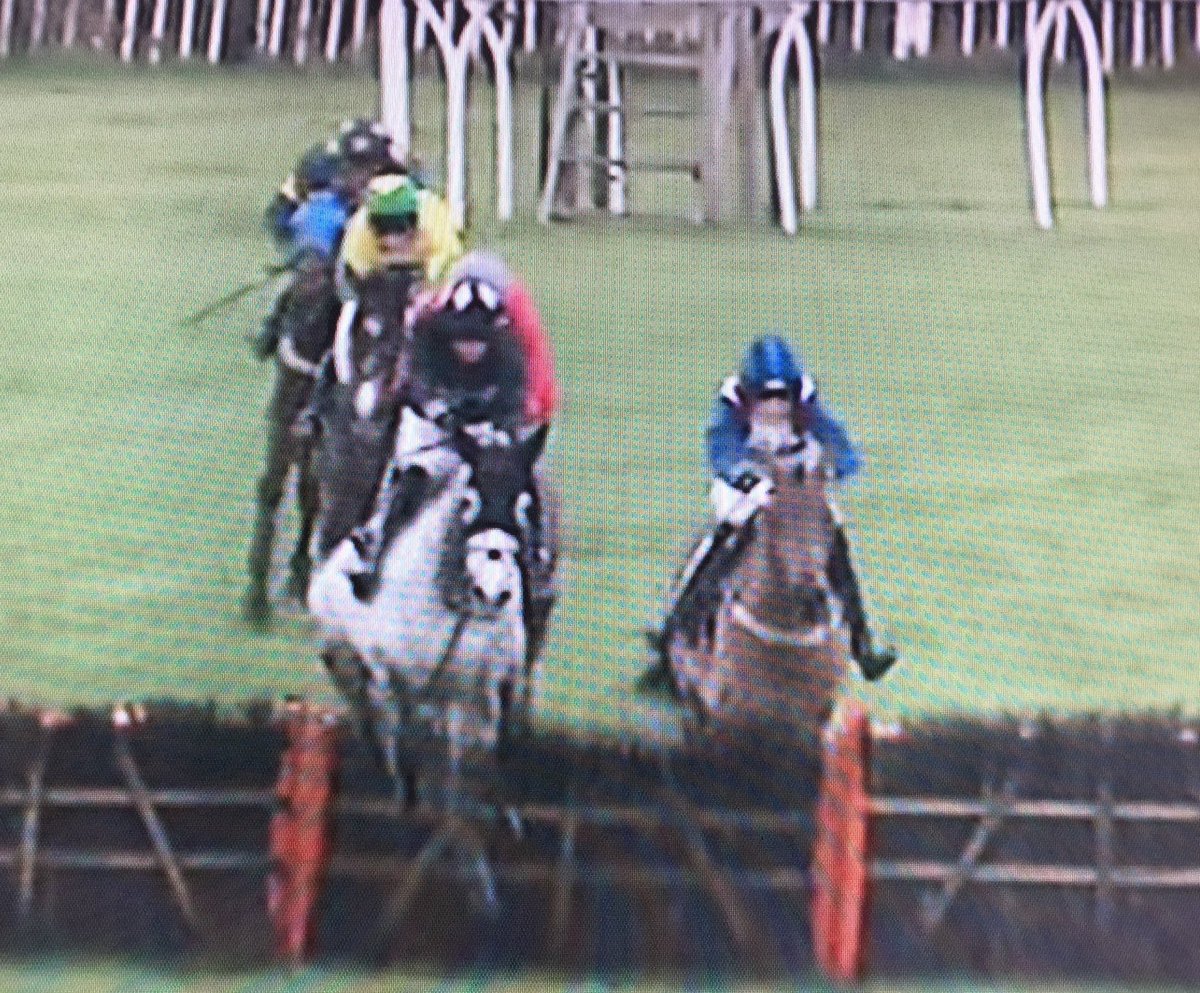 amajox's tweet photo. Congrats 17 yo @amajox @lucamorgan99 enjoys 2nd career #win @plumptonraces #PompadourHurdle #WinterSpice @johnnyfarrelly #5ran #topride #topjockπππππ@gbponyracing https://t.co/Cq3D6ifcTt