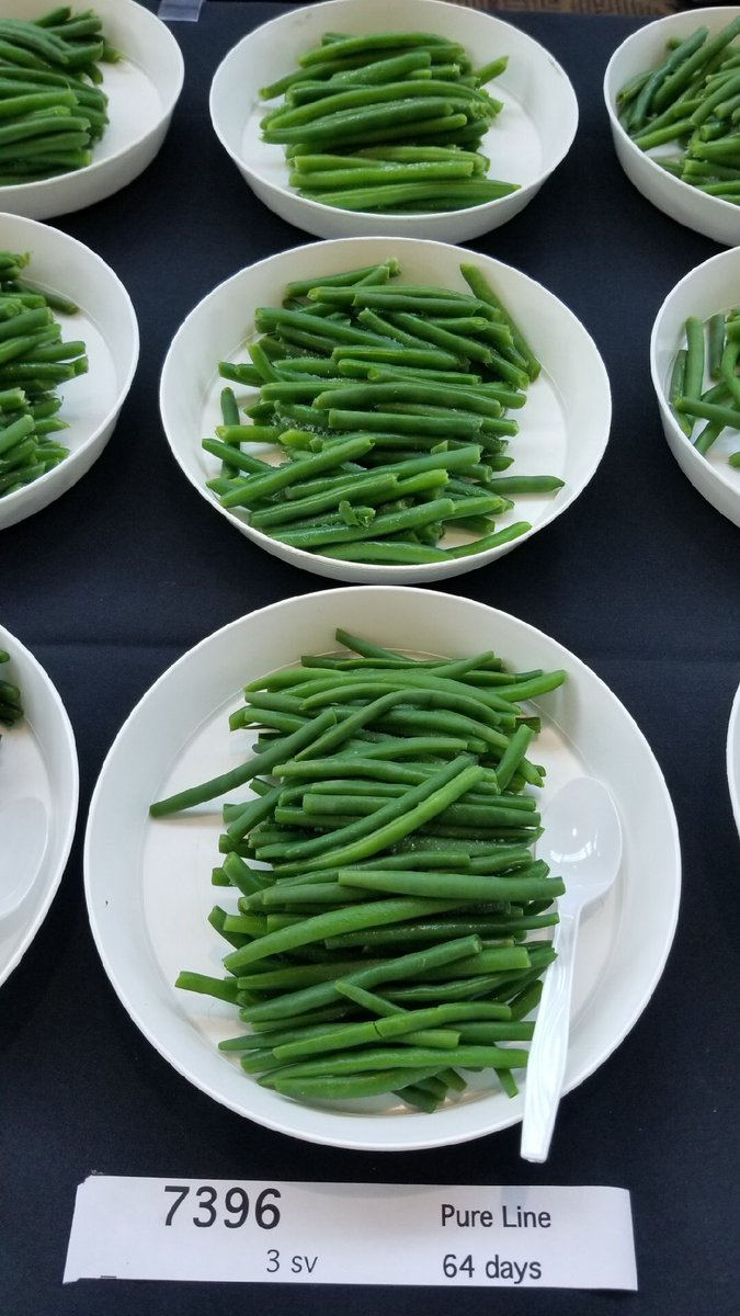 Pure Line Seeds, Inc tweet media