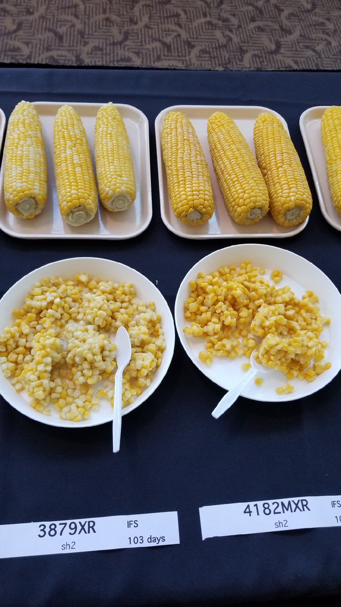 Pure Line Seeds, Inc tweet media