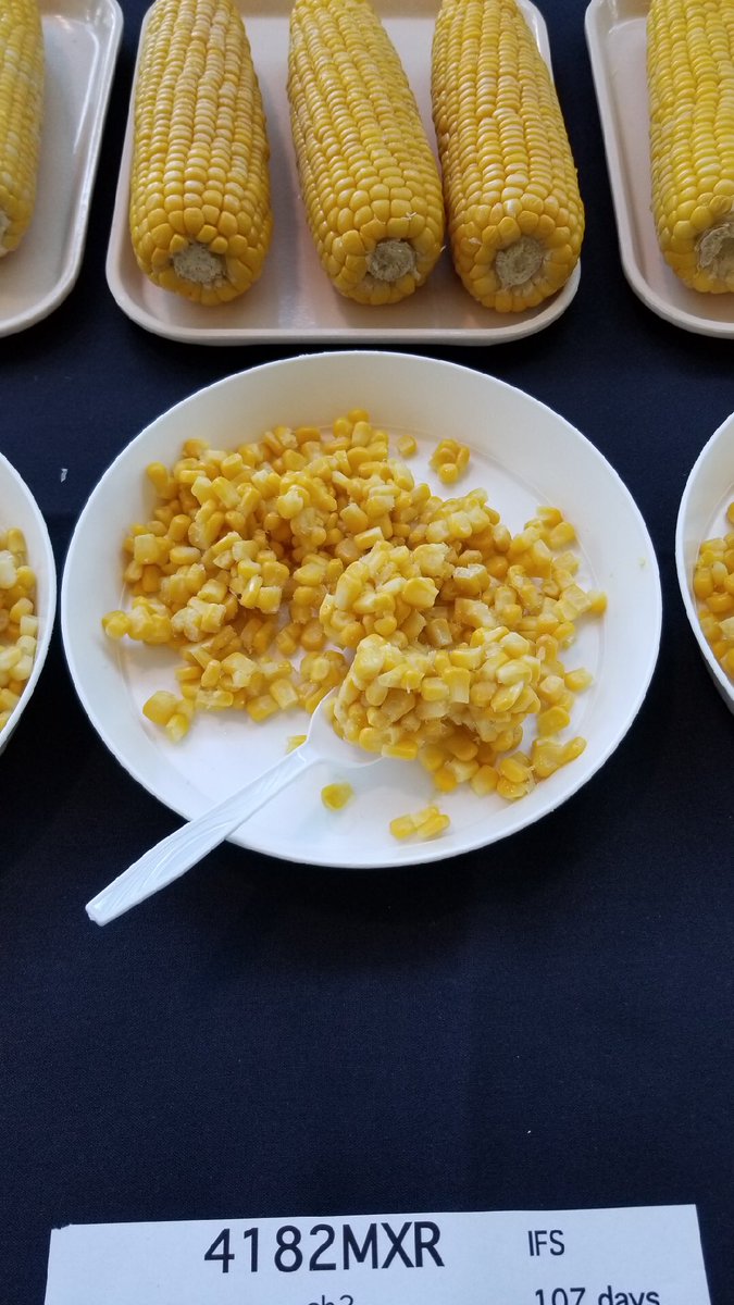 Pure Line Seeds, Inc tweet media