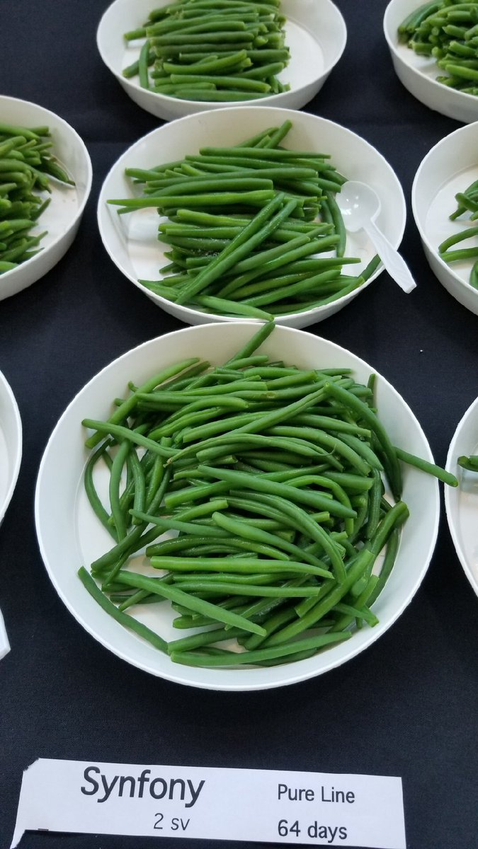 Pure Line Seeds, Inc tweet media