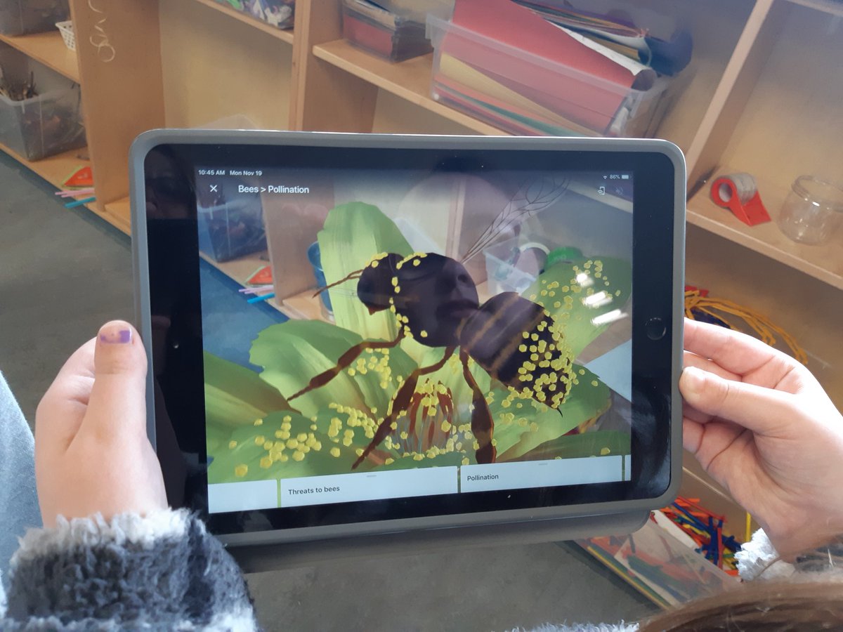 MrsPitrestrose's tweet photo. An introduction to Augmented Reality. #learningaboutbees https://t.co/DdiAl91Ttf