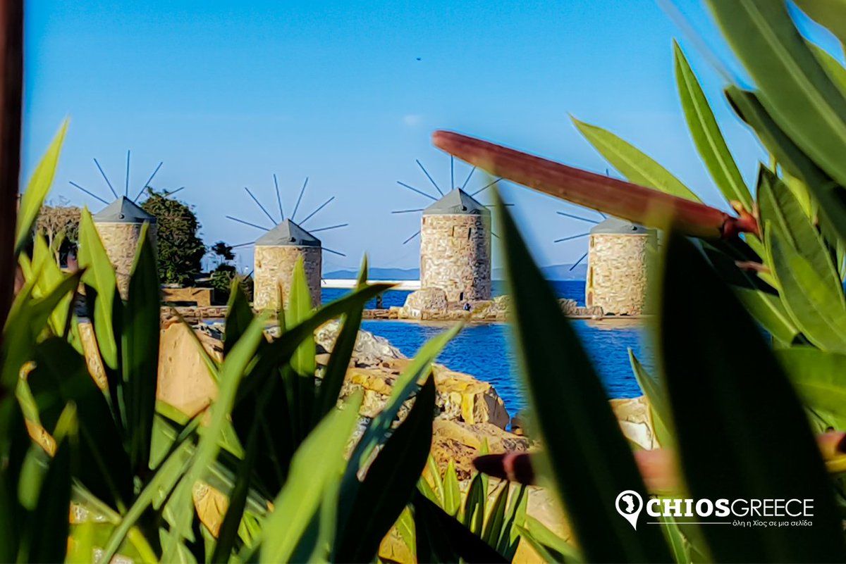 ChiosGreece tweet media