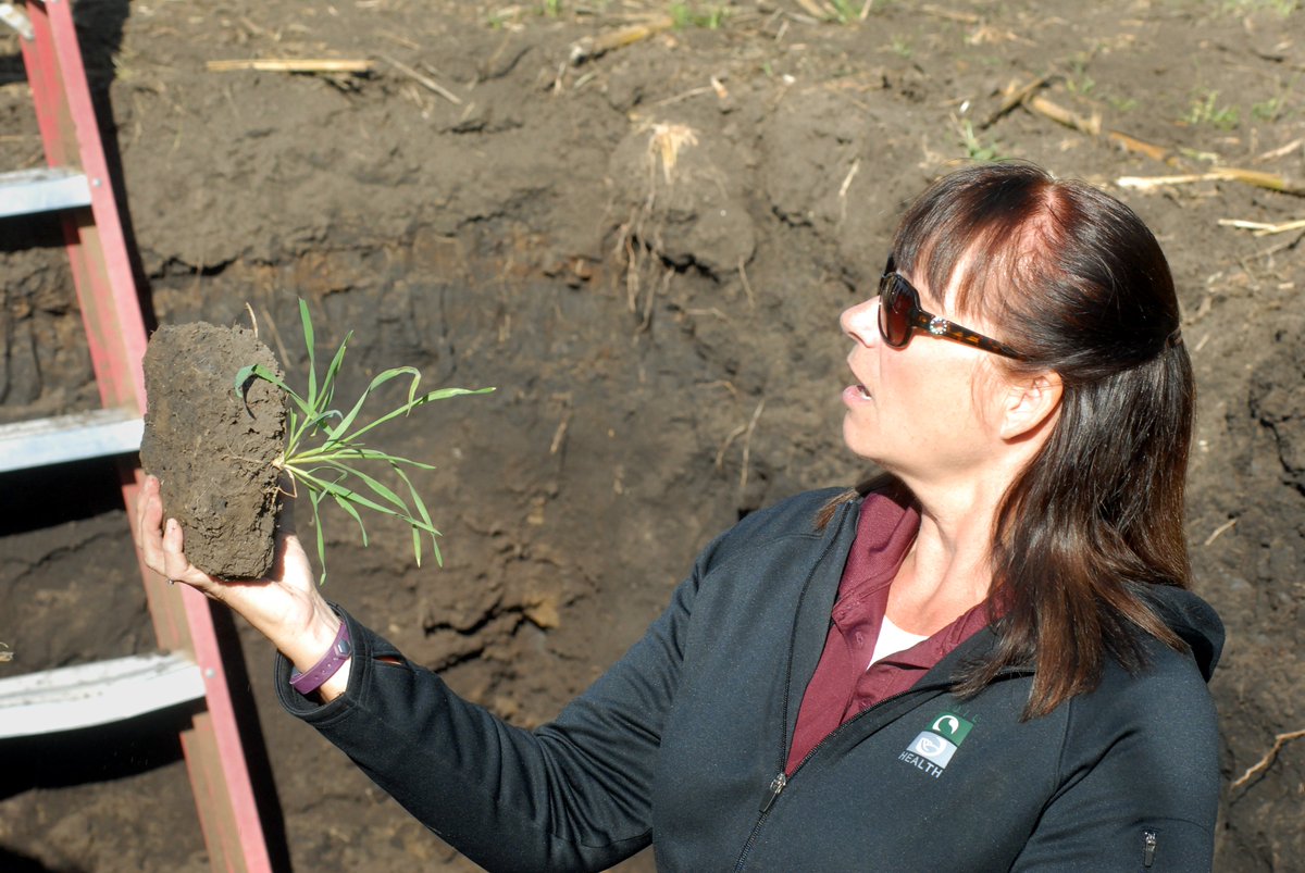 UMNExt's tweet photo. Day 8 of our '10 Days of Gratitude': Big THANKS to @UMNExt employees. They live and breathe our land-grant mission. #ExtThanks #UMNProud https://t.co/eI4GGB85o6