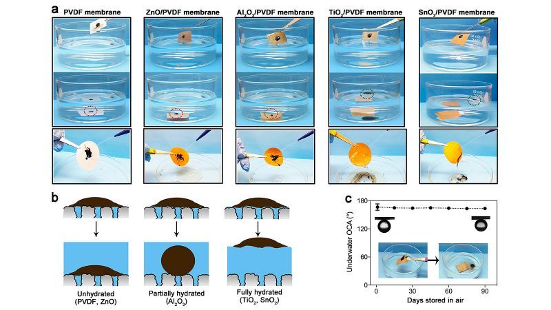 WaterNetwork1's tweet photo. A team of scientists at @argonne National Laboratory is introducing a novel new way to keep #oil from clogging filters and equipment.
https://t.co/Iro2gOSorn
#oilandgas #technologynews #science #watertreatment #chemistry #atomiclayer #waterpurification #watermanagement https://t.co/VHzpN4rbm5