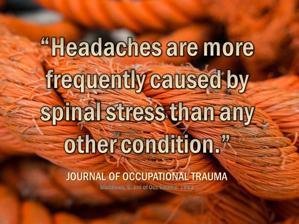 FirstChoiceA2's tweet image. There's no such thing as a "normal" amount of headaches! Symptoms are your body's alarm system letting you know there is a problem. Get your spine checked for interference that can cause all kinds of problems...including headaches.